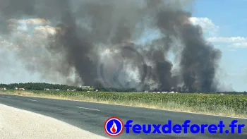 Incendie à Huisseau-sur-Mauves - Loiret - 25 juin 2026 - Feux de forêts et d'espaces naturels