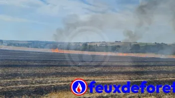 Incendie à Genac-Bignac - Charente - 25 juin 2026 - Feux de forêts et d'espaces naturels