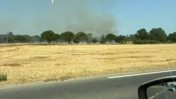 Incendie à Boé - Lot-et-Garonne - 25 juin 2026 - Feux de forêts et d'espaces naturels