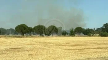 Incendie à Boé - Lot-et-Garonne - 25 juin 2026 - Feux de forêts et d'espaces naturels