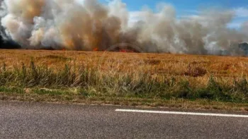 Incendie à Belforêt-en-Perche - Orne - 25 juin 2026 - Feux de forêts et d'espaces naturels