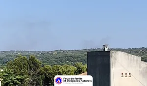 Incendie à La Fare-les-Oliviers (13) : le feu est éteint