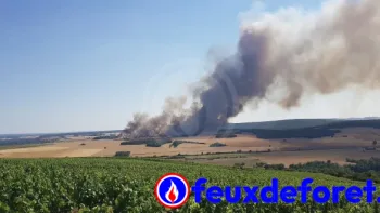 Incendie à Bazarnes - Yonne - 25 juin 2026 - Feux de forêts et d'espaces naturels