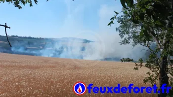 Incendie à Cordelle - Loire - 26 juin 2026 - Feux de forêts et d'espaces naturels