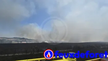Incendie à Luzy - Nièvre - 26 juin 2026 - Feux de forêts et d'espaces naturels