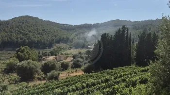 Incendie à La Cadière-d'Azur - Var - 26 juin 2026 - Feux de forêts et d'espaces naturels