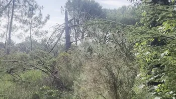 Incendie à Plomodiern - Finistère - 26 juin 2026 - Feux de forêts et d'espaces naturels