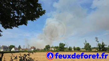 Incendie à Toulon-sur-Allier - Allier - 27 juin 2026 - Feux de forêts et d'espaces naturels