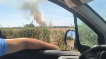 Incendie à Toulon-sur-Allier - Allier - 27 juin 2026 - Feux de forêts et d'espaces naturels