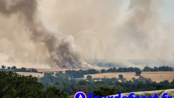 Incendie à Neuilly-le-Réal - Allier - 27 juin 2026 - Feux de forêts et d'espaces naturels