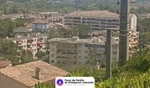 Incendie à Mandelieu-la-Napoule (06) : le feu est éteint