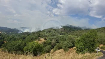 Incendie à Villeneuve-d'Allier - Haute-Loire - 27 juin 2026 - Feux de forêts et d'espaces naturels