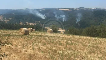 Incendie à Villeneuve-d'Allier - Haute-Loire - 27 juin 2026 - Feux de forêts et d'espaces naturels