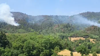 Incendie à Villeneuve-d'Allier - Haute-Loire - 27 juin 2026 - Feux de forêts et d'espaces naturels