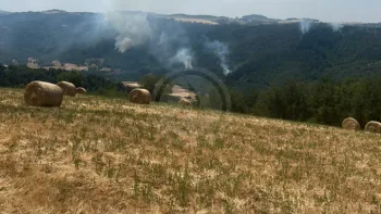 Incendie à Villeneuve-d'Allier - Haute-Loire - 27 juin 2026 - Feux de forêts et d'espaces naturels