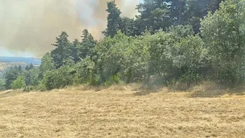 Incendie à Villeneuve-d'Allier - Haute-Loire - 27 juin 2026 - Feux de forêts et d'espaces naturels