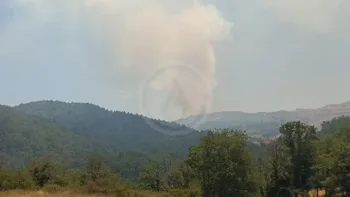 Incendie à Villeneuve-d'Allier - Haute-Loire - 27 juin 2026 - Feux de forêts et d'espaces naturels