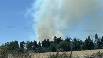 Incendie à Villeneuve-d'Allier - Haute-Loire - 27 juin 2026 - Feux de forêts et d'espaces naturels