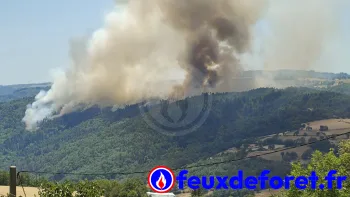 Incendie à Villeneuve-d'Allier - Haute-Loire - 27 juin 2026 - Feux de forêts et d'espaces naturels