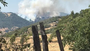 Incendie à Villeneuve-d'Allier - Haute-Loire - 27 juin 2026 - Feux de forêts et d'espaces naturels