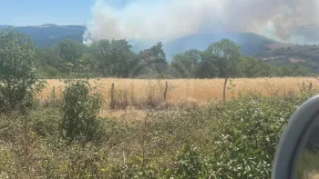 Incendie à Villeneuve-d'Allier - Haute-Loire - 27 juin 2026 - Feux de forêts et d'espaces naturels