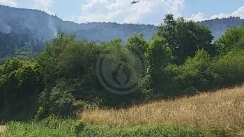 Incendie à Villeneuve-d'Allier - Haute-Loire - 27 juin 2026 - Feux de forêts et d'espaces naturels