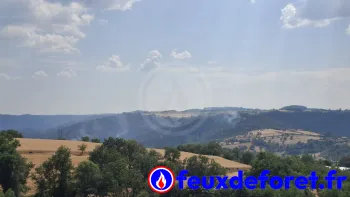 Incendie à Villeneuve-d'Allier - Haute-Loire - 27 juin 2026 - Feux de forêts et d'espaces naturels