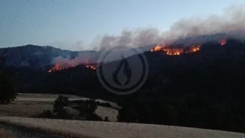 Incendie à Villeneuve-d'Allier - Haute-Loire - 27 juin 2026 - Feux de forêts et d'espaces naturels