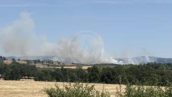 Incendie à Sainte-Colombe-sur-Gand - Loire - 27 juin 2026 - Feux de forêts et d'espaces naturels