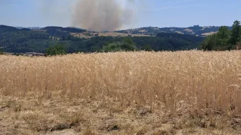 Incendie à Sainte-Colombe-sur-Gand - Loire - 27 juin 2026 - Feux de forêts et d'espaces naturels