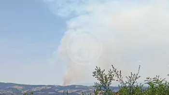 Incendie à Sainte-Colombe-sur-Gand - Loire - 27 juin 2026 - Feux de forêts et d'espaces naturels