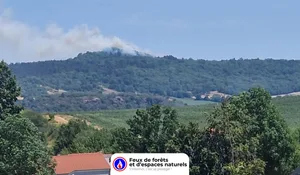 Incendie à Cournon-d'Auvergne (63) : les pompiers interviennent