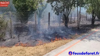 Incendie à Bègles - Gironde - 27 juin 2026 - Feux de forêts et d'espaces naturels