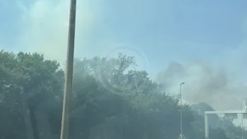 Incendie à Bègles - Gironde - 27 juin 2026 - Feux de forêts et d'espaces naturels