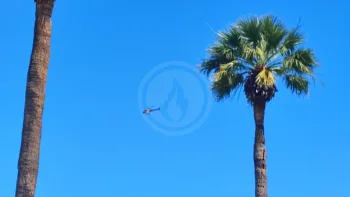 Incendie à Fréjus - Var - 27 juin 2026 - Feux de forêts et d'espaces naturels
