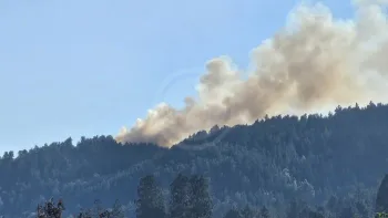 Incendie à Bas-en-Basset - Haute-Loire - 27 juin 2026 - Feux de forêts et d'espaces naturels