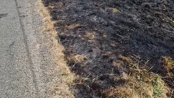 Incendie à Blacé - Rhône - 28 juin 2026 - Feux de forêts et d'espaces naturels
