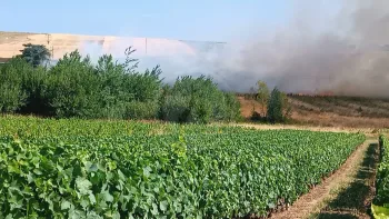Incendie à Blacé - Rhône - 28 juin 2026 - Feux de forêts et d'espaces naturels