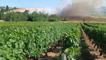 Incendie à Blacé - Rhône - 28 juin 2026 - Feux de forêts et d'espaces naturels