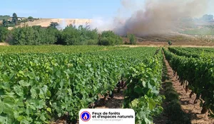 Incendie à Blacé (69) : le feu est éteint