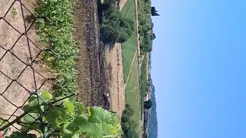 Incendie à Blacé - Rhône - 28 juin 2026 - Feux de forêts et d'espaces naturels