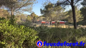 Incendie à Lançon-Provence - Bouches-du-Rhône - 28 juin 2026 - Feux de forêts et d'espaces naturels