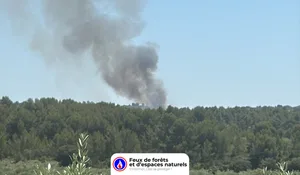 Incendie à Lançon-Provence (13) : les pompiers interviennent