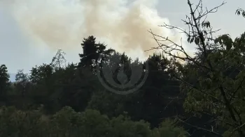 Incendie à Valprivas - Haute-Loire - 28 juin 2026 - Feux de forêts et d'espaces naturels