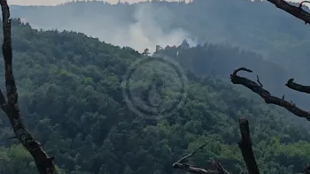 Incendie à Aurec-sur-Loire - Haute-Loire - 28 juin 2026 - Feux de forêts et d'espaces naturels