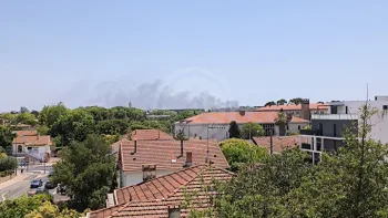 Incendie à Lattes - Hérault - 29 juin 2026 - Feux de forêts et d'espaces naturels