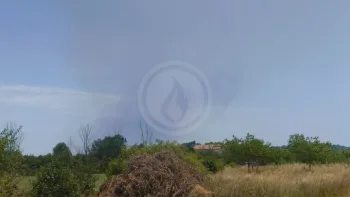 Incendie à Lattes - Hérault - 29 juin 2026 - Feux de forêts et d'espaces naturels
