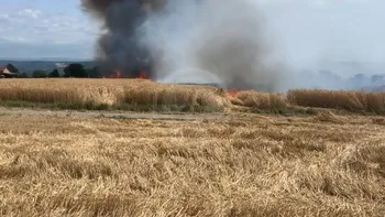 Incendie à Sardieu - Isère - 29 juin 2026 - Feux de forêts et d'espaces naturels