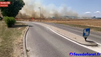 Incendie à Sardieu - Isère - 29 juin 2026 - Feux de forêts et d'espaces naturels