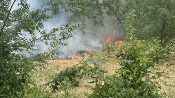 Incendie à Saint-Christol-lez-Alès - Gard - 29 juin 2026 - Feux de forêts et d'espaces naturels